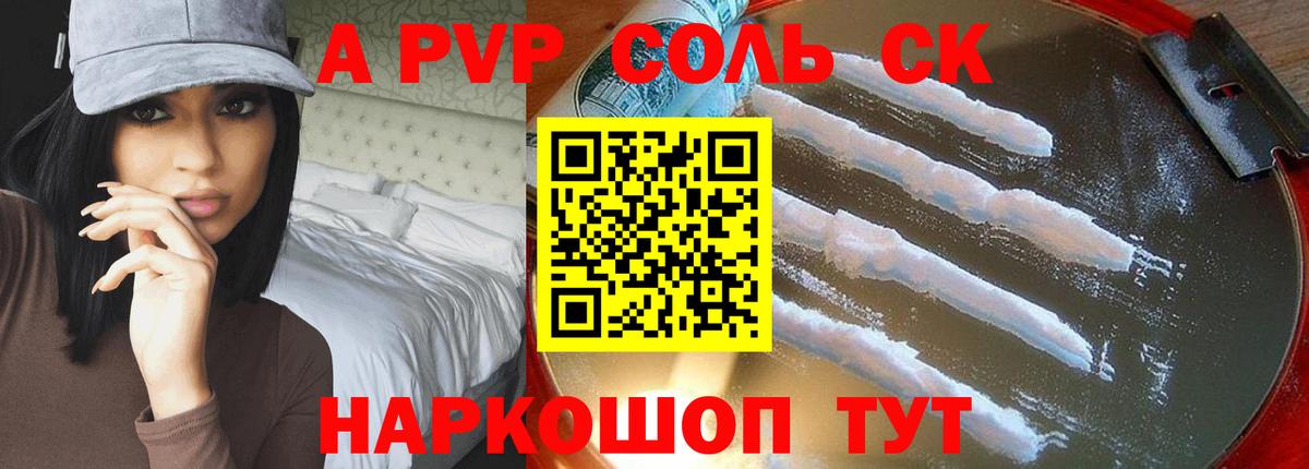 A PVP СК КРИС Шадринск